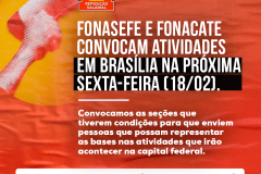 brasilia1802carrossel1